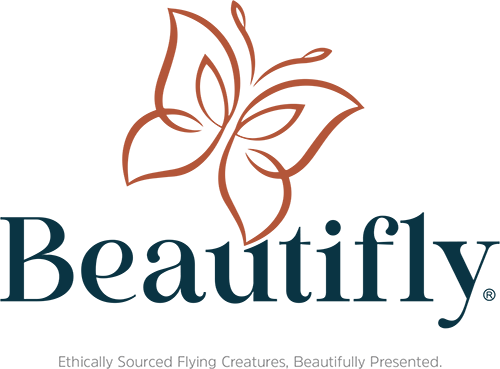 Beautifly - Ethically Sourced Flying Creatures, Beautifully Presented